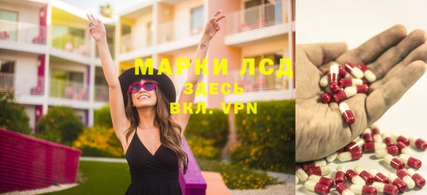 спайс Сясьстрой