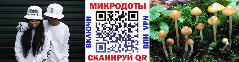 Псилоцибиновые грибы прущие грибы  Купить где  Нижний Ломов 